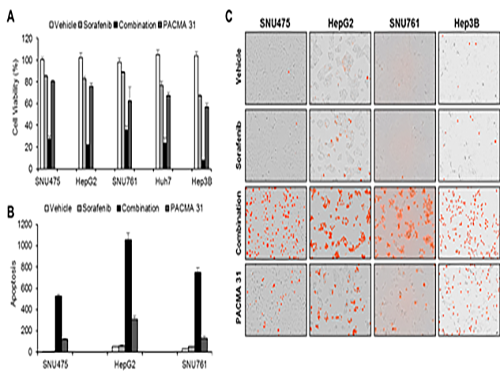 Discovery of an Optimal Drug Combination: Overcoming Resistance to Targeted Drugs for Liver Cancer 이미지