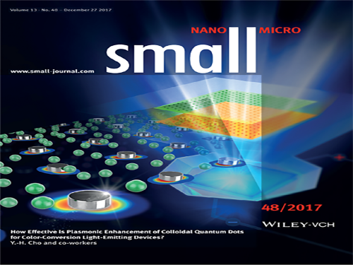 Realizing Highly Efficient Quantum Dot LEDs with Metallic Nanostructures 이미지