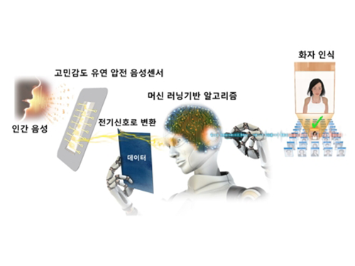 이건재 교수, 유창동 교수, 유연 압전 화자인식 음성센서 개발 이미지