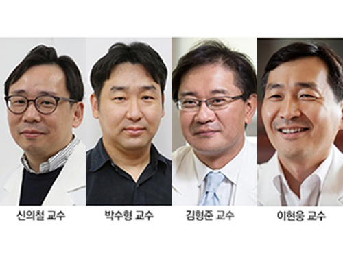 신의철, 박수형 교수, 방관자 면역세포의 인체 손상 원리 발견 이미지