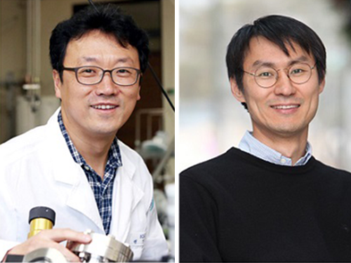 Visualizing Chemical Reaction on Bimetal Surfaces 이미지