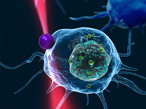 Fast, Accurate 3D Imaging to Track Optically-Trapped Particles 이미지