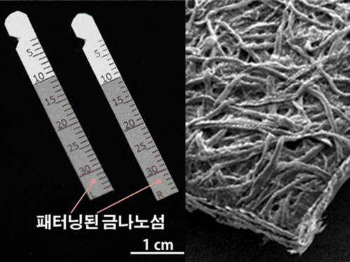 Gout Diagnostic Strip Using a Single Teardrop 이미지