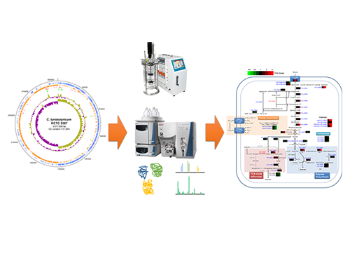 Unveiling the Distinctive Features of Industrial Microorganism 이미지