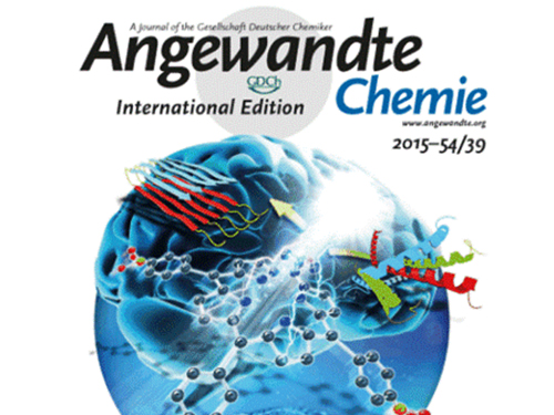 Light Driven Drug-Enzyme Reaction Catalytic Platform Developed 이미지