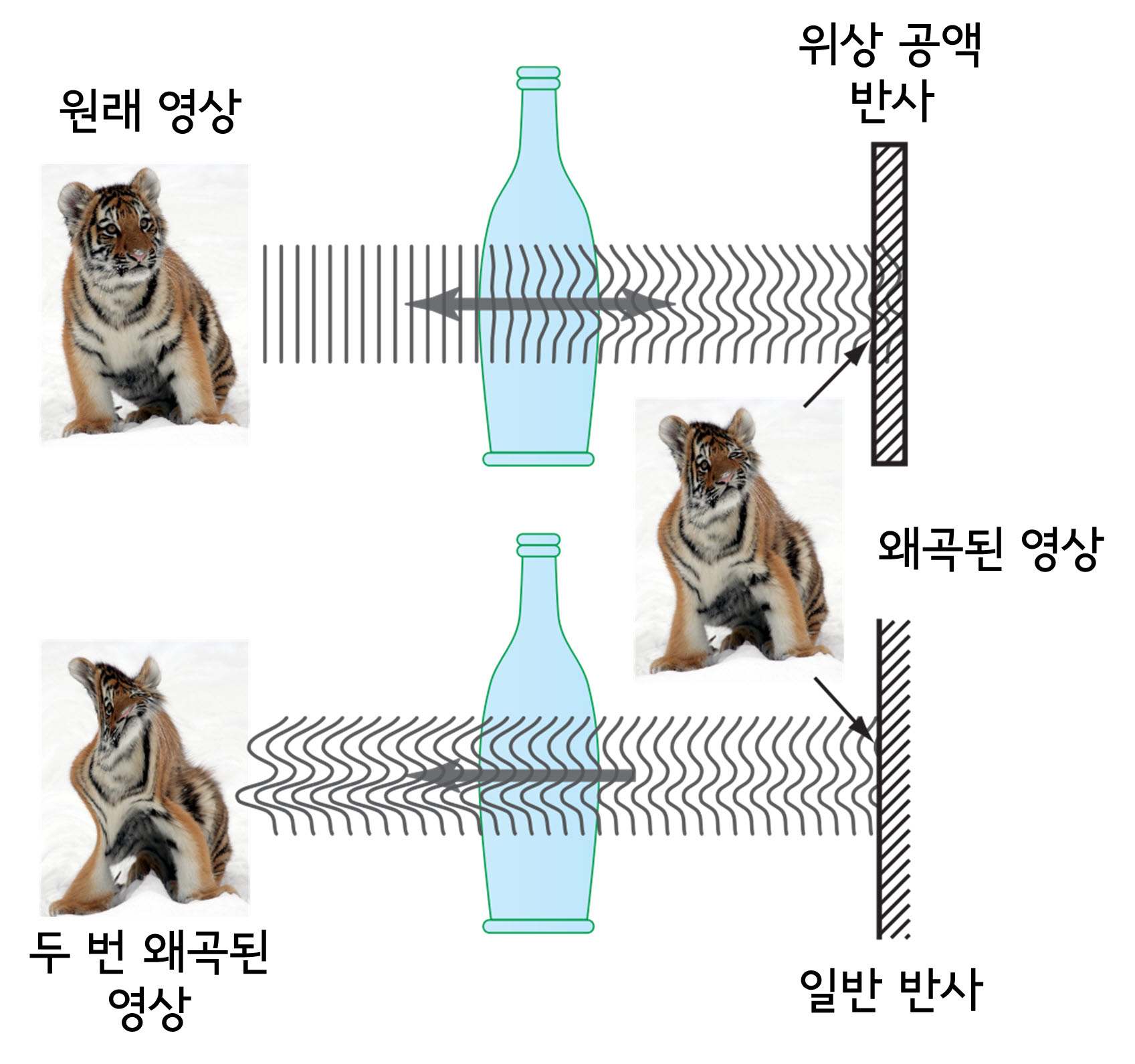 홀로그래피 이용한 빛 산란 제어기술 개발 이미지