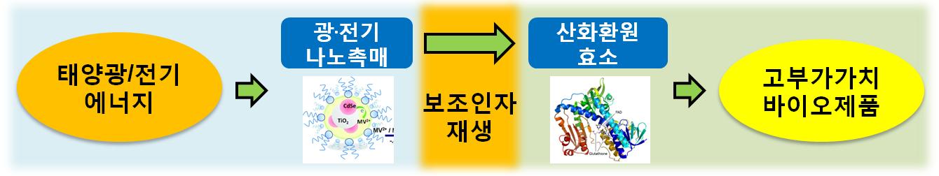 박찬범 교수팀, 나노크기의 광감응 소재를 이용한 인공광합성 원천기술개발 이미지