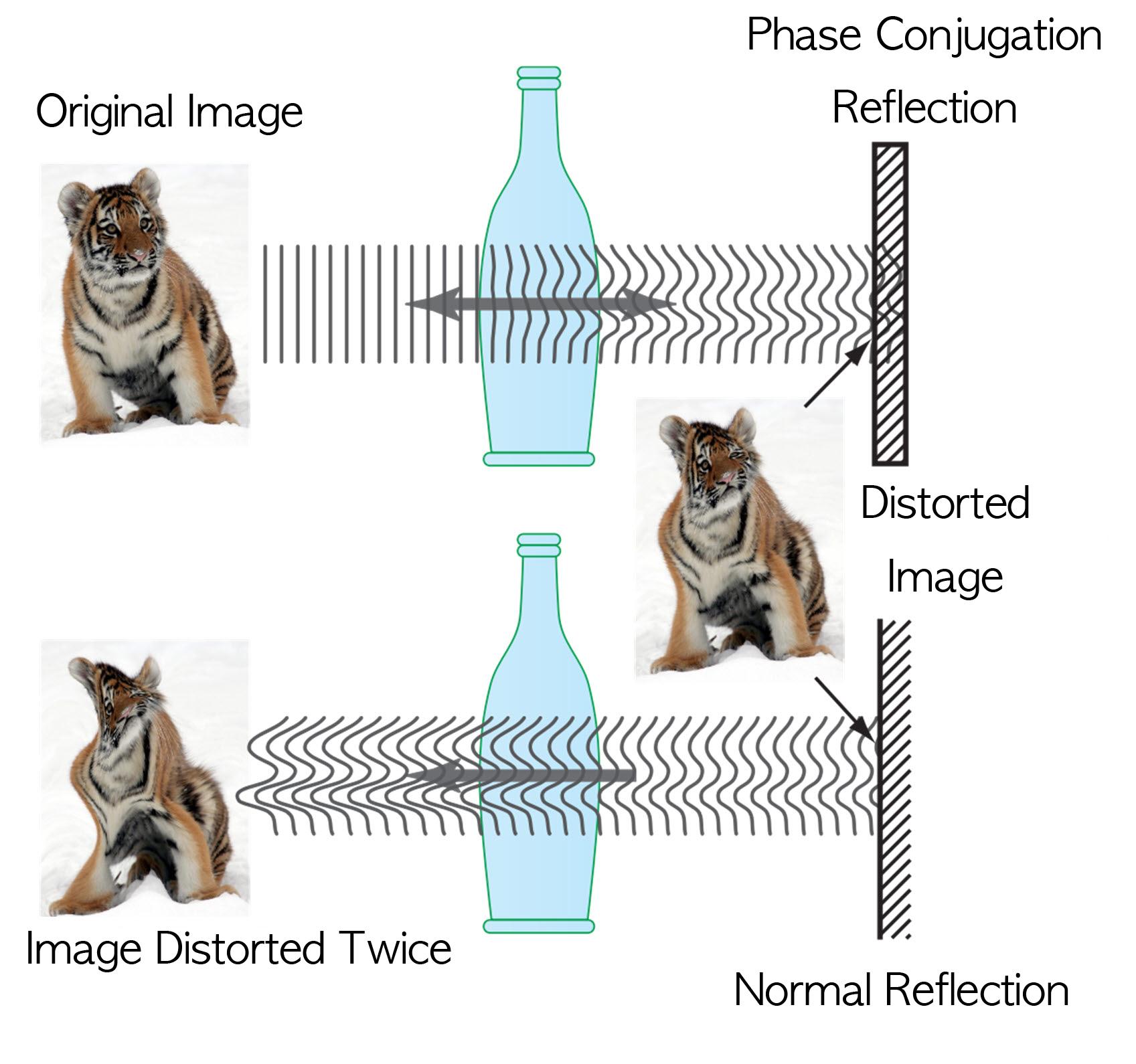 Technology Developed to Control Light Scattering Using Holography 이미지