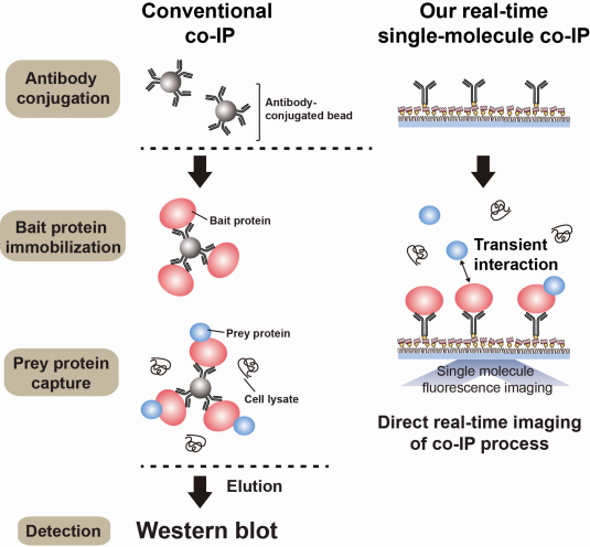 The new era of personalized cancer diagnosis and treatment 이미지