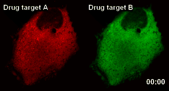 New Technology Developed for Analysis of New Drugs by Using Smart Nano-Sensors 이미지