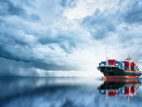 Slippery When Wet: Fish and Seaweed Inspire Ships to Reduce Fluid Friction 이미지