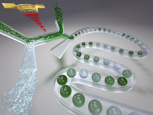 성형진 교수 연구팀, 랩온어칩(Lab on a Chip)지 표지논문 게재 이미지