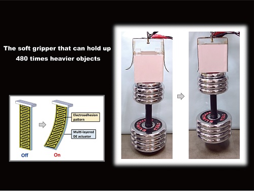 자체 무게의 480배 이상을 들어올릴 수 있는 소프트 그리퍼 개발 이미지