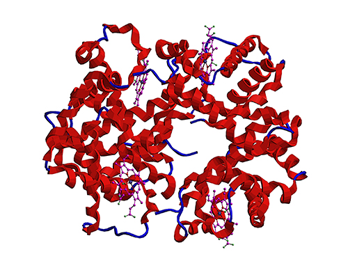 Microbial Production of a Natural Red Colorant Carminic Acid 이미지