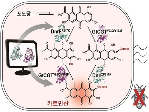 미생물 이용한 천연 붉은 색소 생산 기술 최초개발 이미지