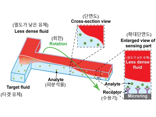미세 유체의 회전 운동을 활용한 현장 진단용 초고감도 바이오센서 개발 이미지