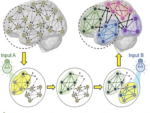 Energy-Efficient AI Hardware Technology Via a Brain-Inspired Stashing System 이미지