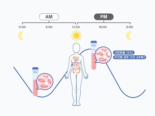 여성 암 환자, 오후 항암치료가 효과 더 좋다 이미지