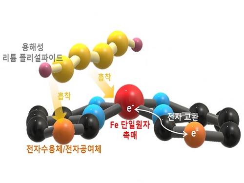 기존보다 30% 향상된 고성능 리튬-황 전지 개발 이미지