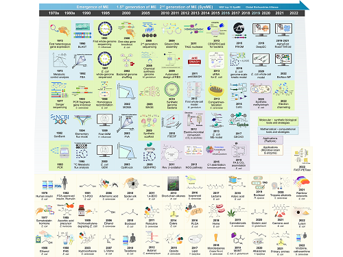 Overview of the 30-year history of metabolic engineering 이미지