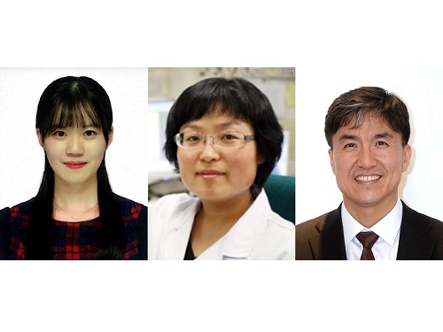 KAIST presents a fundamental technology to remove metastatic traits from lung cancer cells 이미지