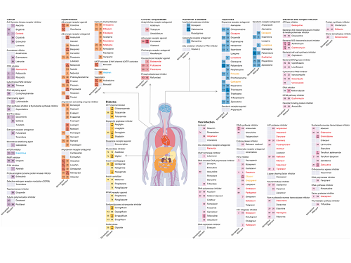 KAIST leads AI-based analysis on drug-drug interactions involving Paxlovid 이미지