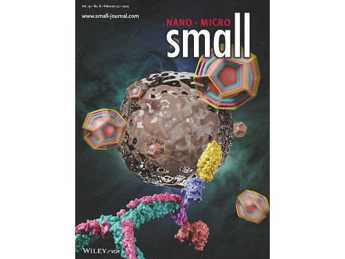 KAIST research team develops clathrin assembly for targeted protein delivery to cancer cells 이미지