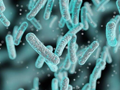 Synthetic sRNAs to knockdown genes in medical and industrial bacteria 이미지