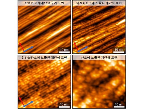 상온에서 쉽게 이산화탄소 실시간 분해하다 이미지