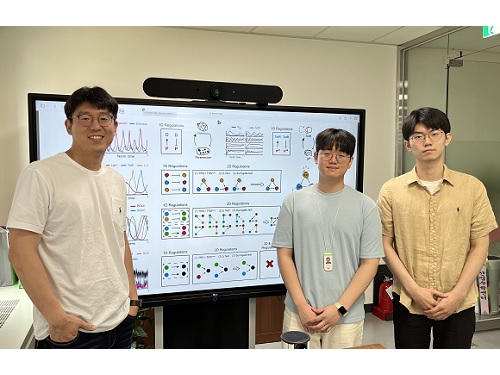 인과관계 추정 정확도 높인 새로운 방법론 개발 이미지