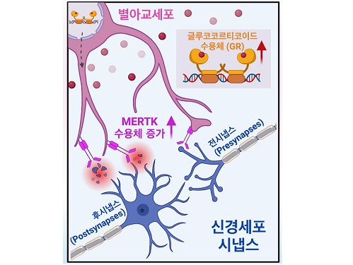 아동 학대로 인한 정신질환 발병 원인 최초 규명 이미지