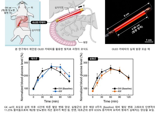 세계 최초로 체내 OLED 빛치료 구현 이미지