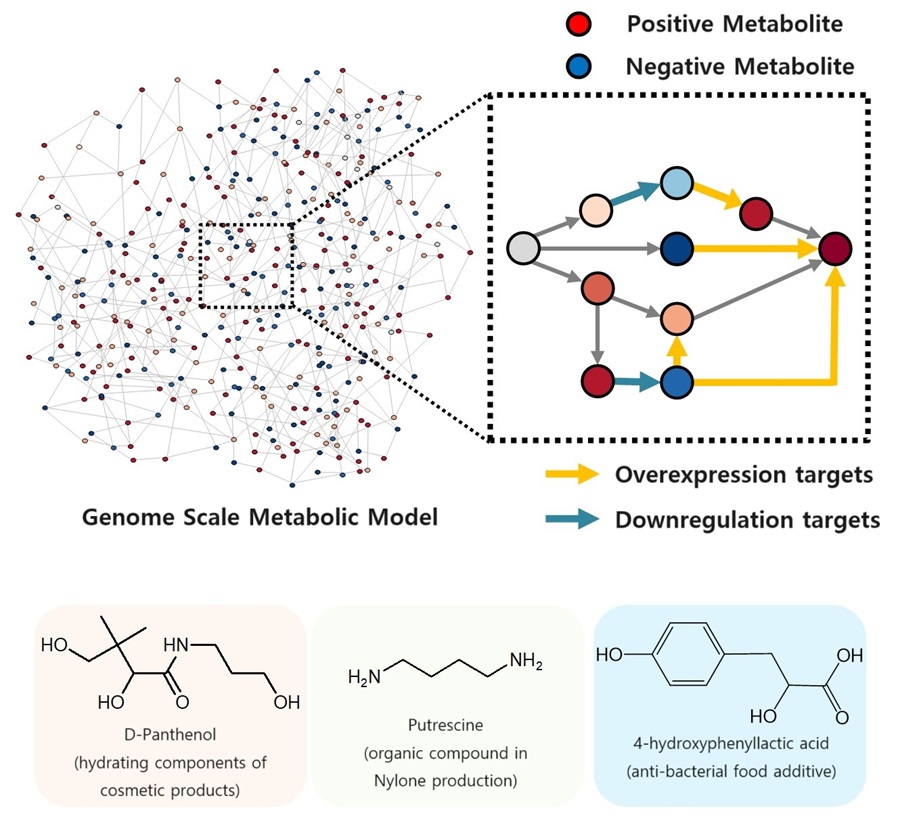 KAIST proposes alternatives to chemical factories through “iBridge” 이미지