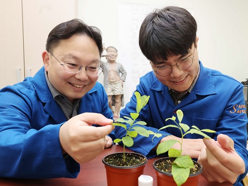 K-약용식물에서 세 단계만에 분자연금술 뚝딱 이미지