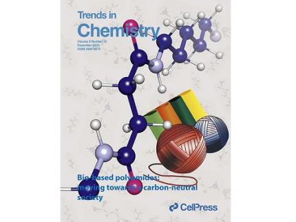 KAIST presents strategies for environmentally friendly and sustainable polyamides production 이미지