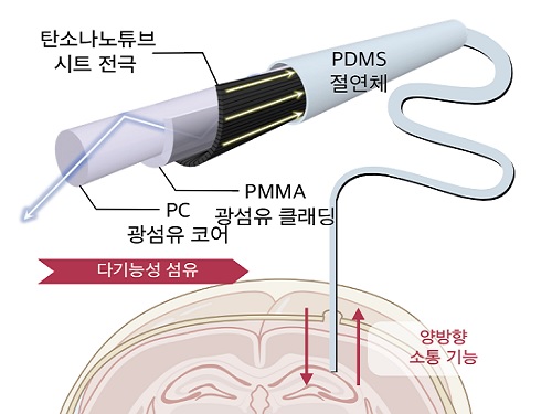 초장기간 작동 뇌-기계 인터페이스 개발 이미지