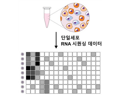 개인 맞춤형 정밀 의학 정확도 높일 ‘렌즈’ 개발 이미지