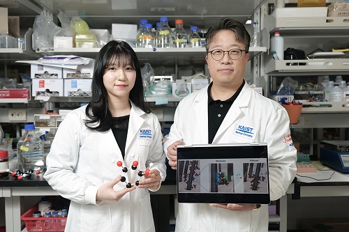 폴리페놀 코팅 기술로 탈모 예방 가능성 입증 이미지