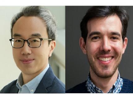 KAIST and Mainz Researchers Unveil 3D Magnon Control, Charting a New Course for Neuromorphic and Quantum Technologies 이미지