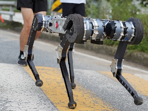 'RaiBo' Runs over Walls with Agility of a Cat... Ready for Effortless Search over Mountaineous and Rough Terrains 이미지