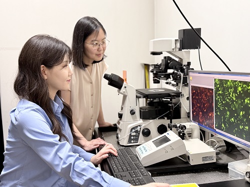 KAIST-UIUC researchers develop a treatment platform to disable the ‘biofilm’ shield of superbugs 이미지