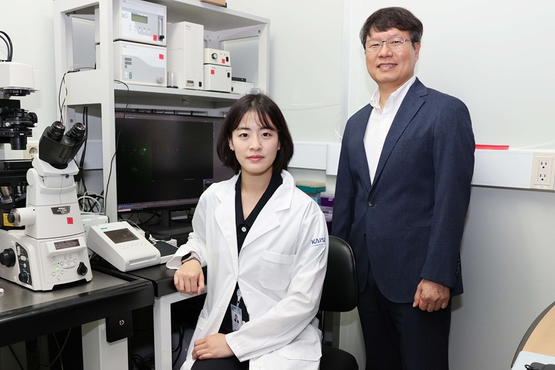 KAIST Team Develops Optogenetic Platform for Spatiotemporal Control of Protein and mRNA Storage and Release 이미지