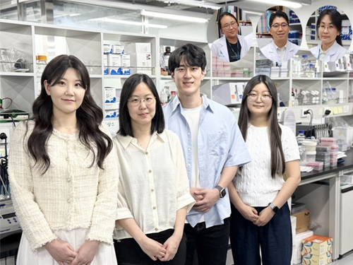 KAIST Develops Novel Candidiasis Treatment Overcoming Side Effects and Resistance 이미지