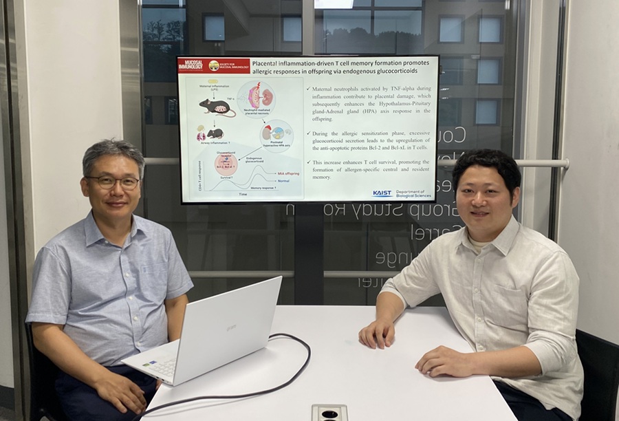KAIST Reveals Placental Inflammation as the Cause of Allergies such as Pediatric Asthma 이미지