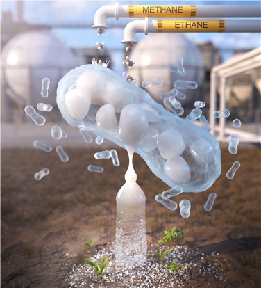 Unlocking New Potential for Natural Gas–Based Bioplastic Production 이미지