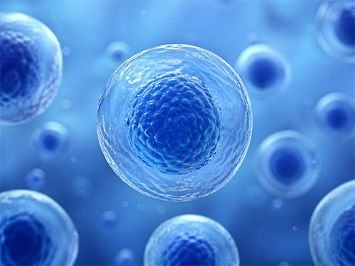 3D Stem Cell Culture Technology to Shift the Paradigm of Regenerative Medicine 이미지