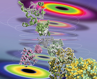 KAIST Professor Exposes Structural Dynamics of Protein in Solution 이미지