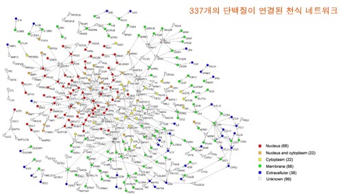 이도헌교수팀, 생물정보학적 연구를 통한 천식 발병 후보 유전자 발견 이미지