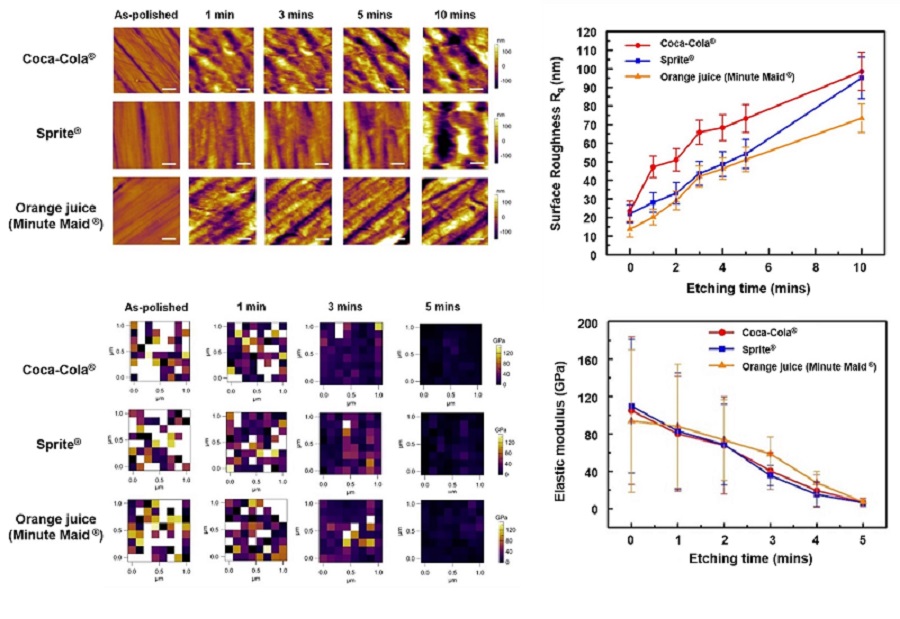 그림 2. 원자간력 현미경을 이용해 영상화한 청량음료에 노출된 치아 법랑질(enamel)의 표면 거칠기(위)와 탄성 계수(아래)의 변화 과정