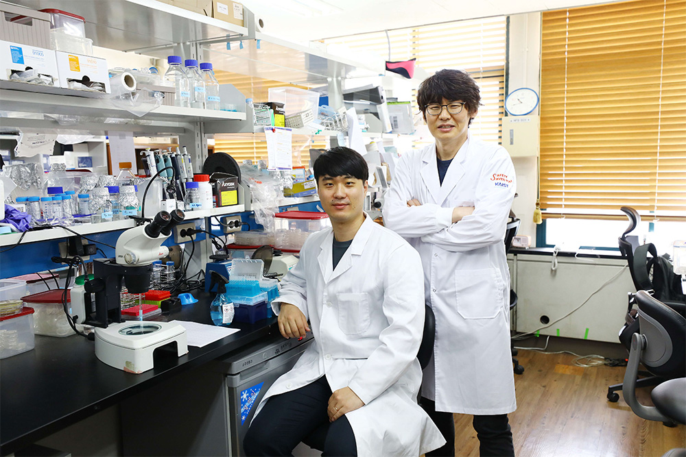 Sangsoon Park (left) and Professor Seung-Jae V. Lee (right)